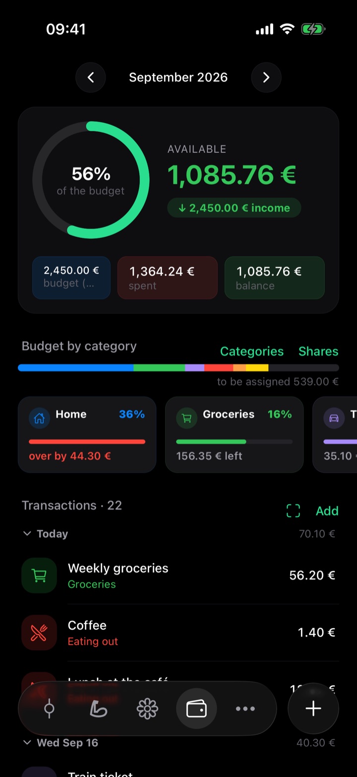 Monthly budget split by category