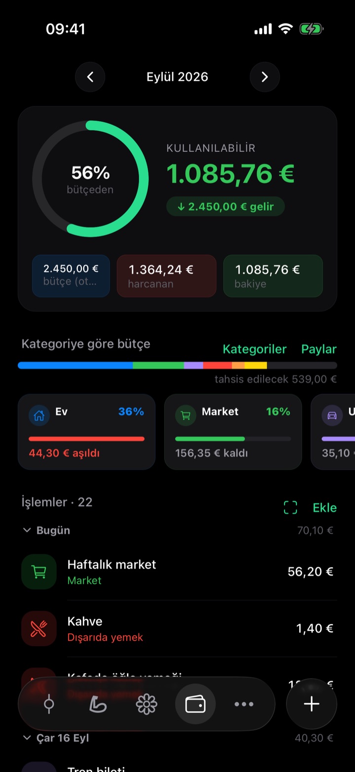 Kategorilere bölünmüş aylık bütçe